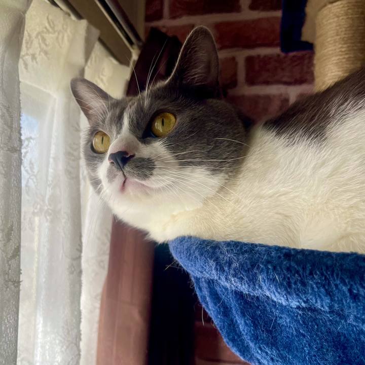 1e4fb729 acd9 4cba 807b 031fa9c3e38c 1636332332742