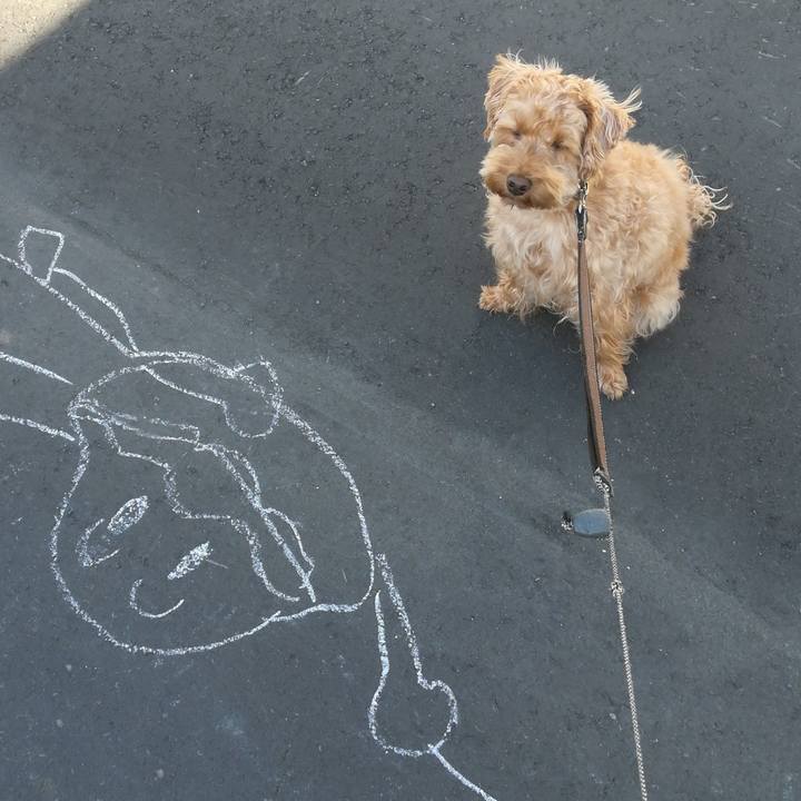 1e4fe881 ae4d 443e 8ea7 c0749a353041 1527545810583