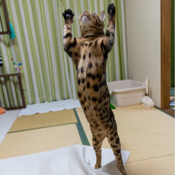 1e4ff061 7d48 4e57 8842 b685026542e2 1517668181866