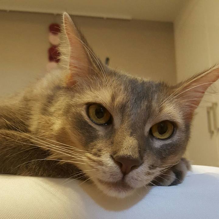 1e4ff812 99e9 40a3 95a3 b97d319b7afb 1537158533725