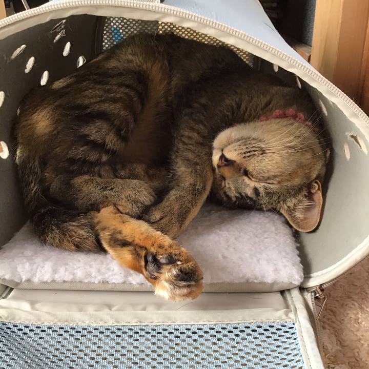 1e502b99 d10b 4982 a5b9 9146ce456d13 1588749731378