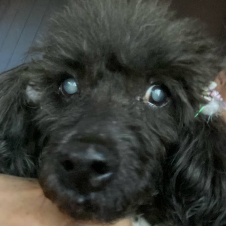 1e503f9e 4fb0 4a24 88fc 57384d8c4ab0 1612654622701