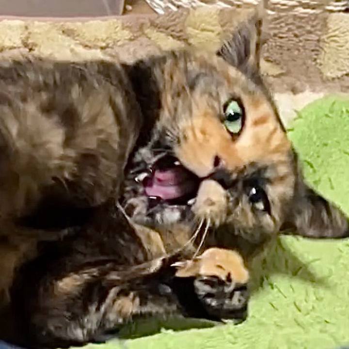 1e508560 fb10 42bd a9d6 7a4a7b5e9e31 1739391209261