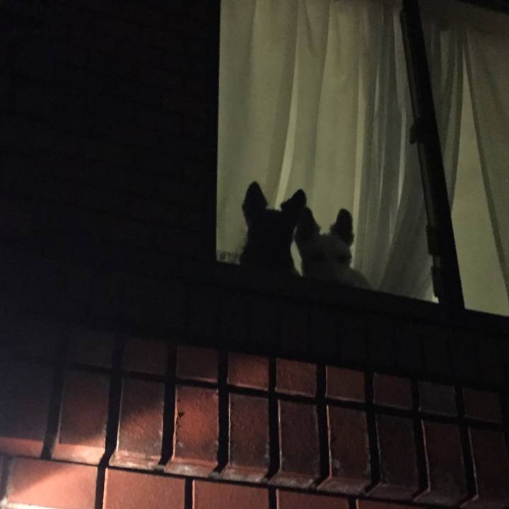 1e50d923 6c42 4c74 beae 96cacf3cb48c 1512744531830