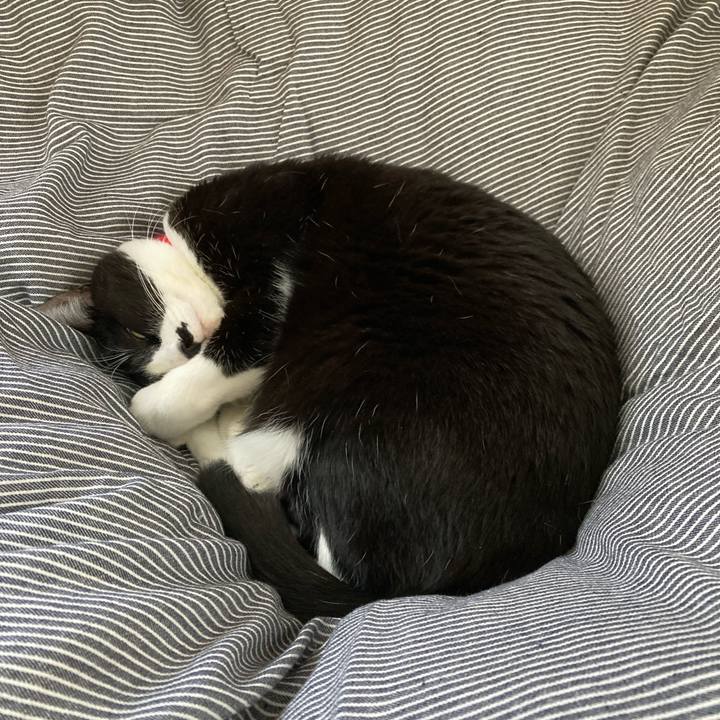 1e50db0c 2cc1 49b5 b61a eb40ed827a6c 1761274656248