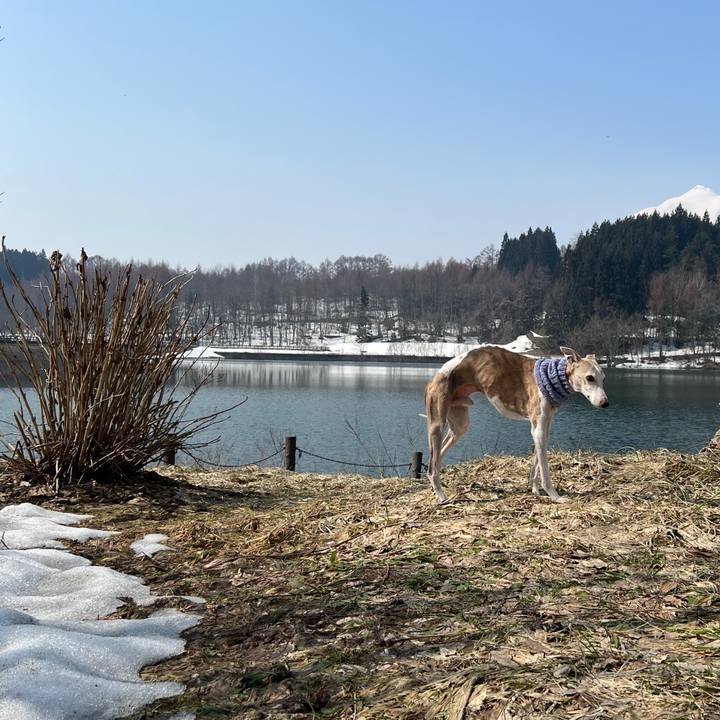 1e512216 643f 47a2 a549 79bf2782158e 1774859446428