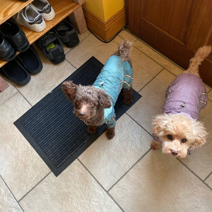 1e514197 cd32 46a8 988e d0d331f75047 1707740060797