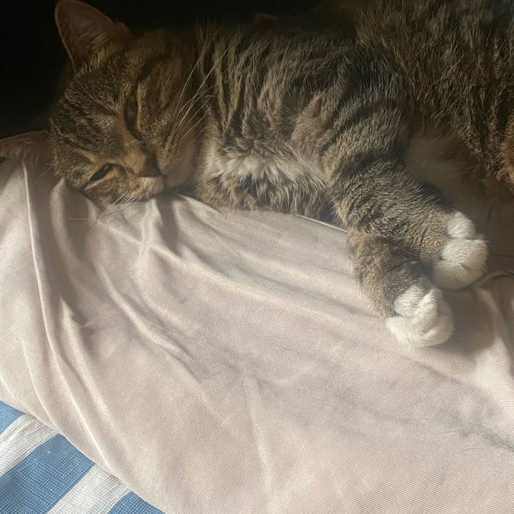 1e517469 2102 446f b352 1c9cc1d501f5 1751163247545