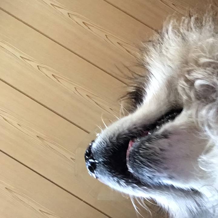 1e51ba07 ae13 457d 98c1 52be8f049ed0 1612528772190