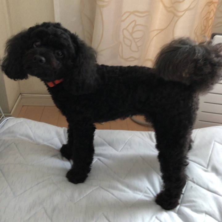 1e51f336 edee 4379 b13f e0532f00b09b 1536297159293