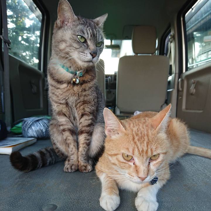 1e5227ea cbf2 49b1 a4a7 7c2f66a58d30 1561022616860