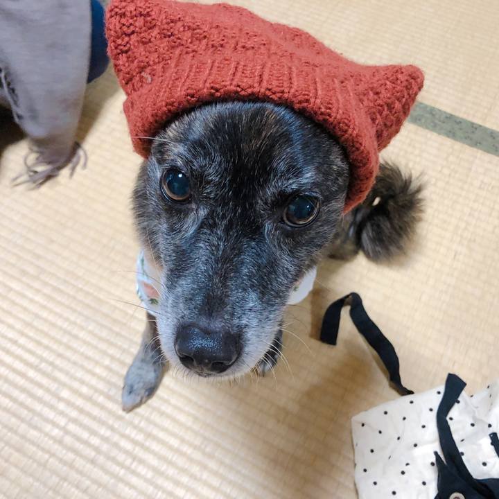 1e524fb7 3d10 47e2 b2bf 05ad20bfe14e 1608770878075