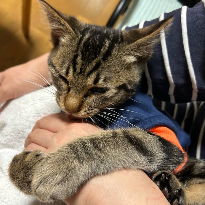 1e526319 7153 4da4 9a09 8c6d3eacefc9 1730629670035