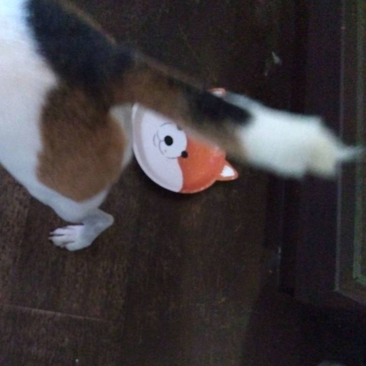 1e52656d 547c 4ca9 8f2e f048568d3ef4 1695803344507