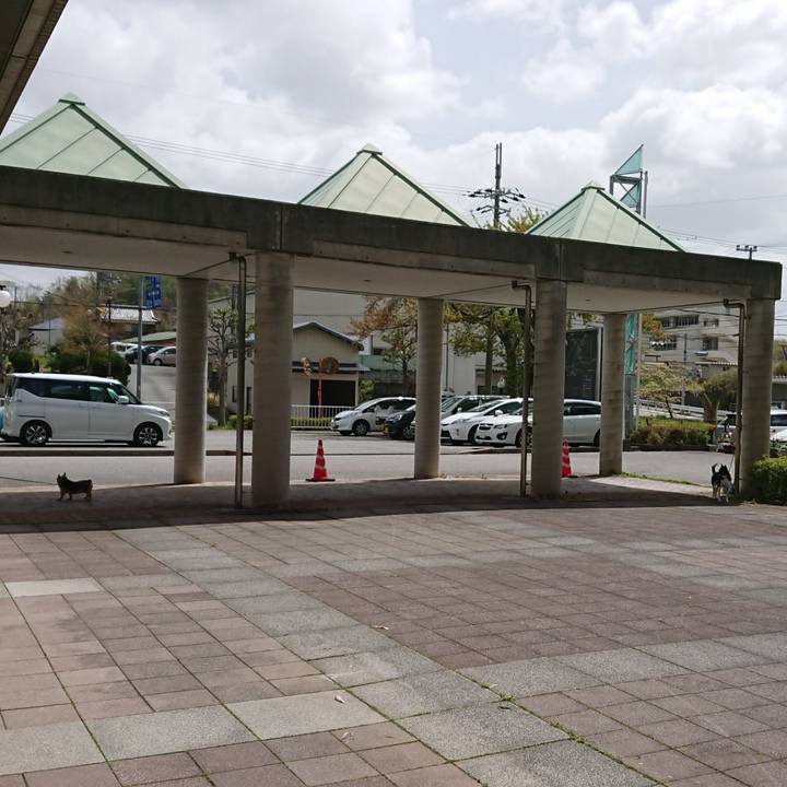 1e5282ed 1dad 4a13 903d 557cad044644 1523844514894