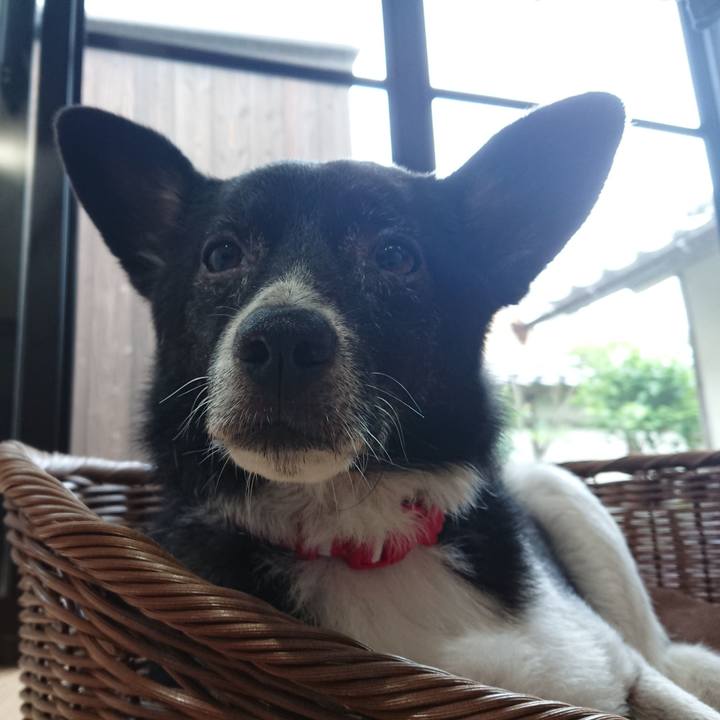 1e52943f 9eae 487b 817d 56098744f9b8 1595638196881