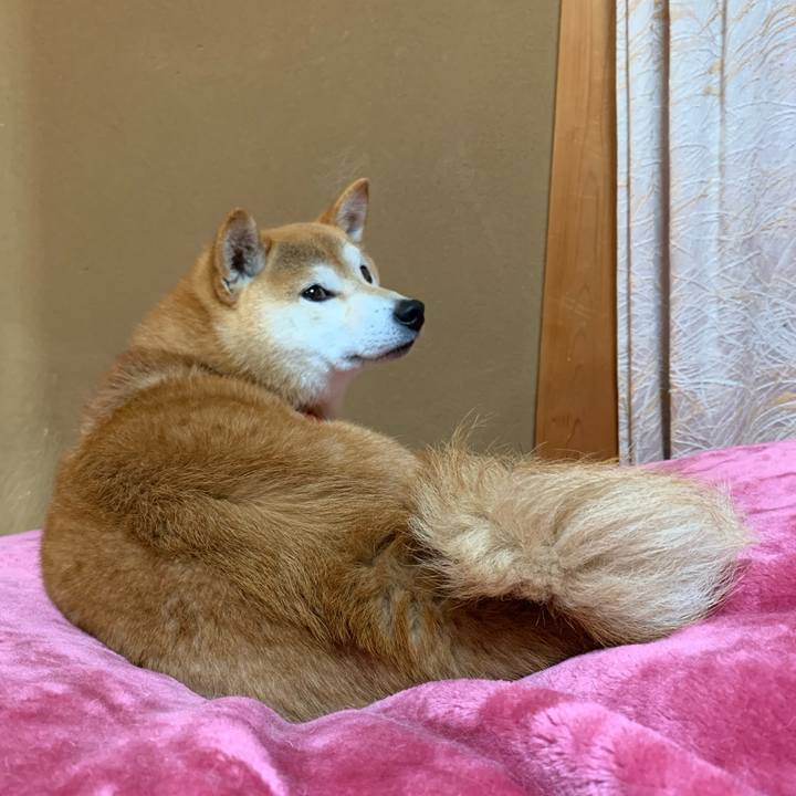 1e52dea7 4b70 4111 992b 0381e3837447 1575031373418