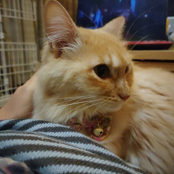 1e530105 dd18 41ac 8667 1340165a8816 1666605183210