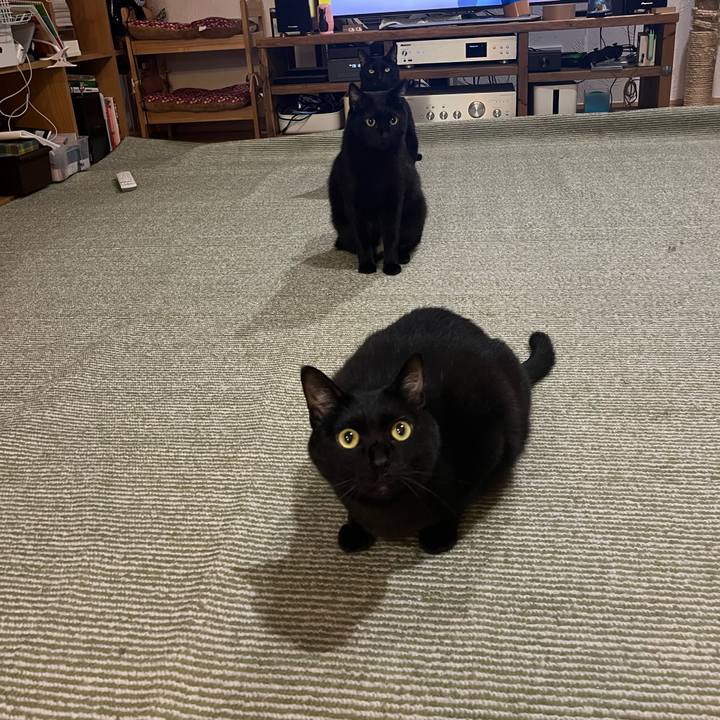 1e530487 8bc7 4d8a aac3 b8fdfe49f288 1706246117924