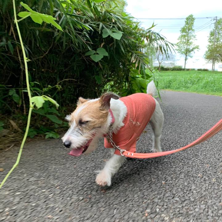 1e531cca 4a1d 4b6f 9b5c 885daf053ef9 1599739497009