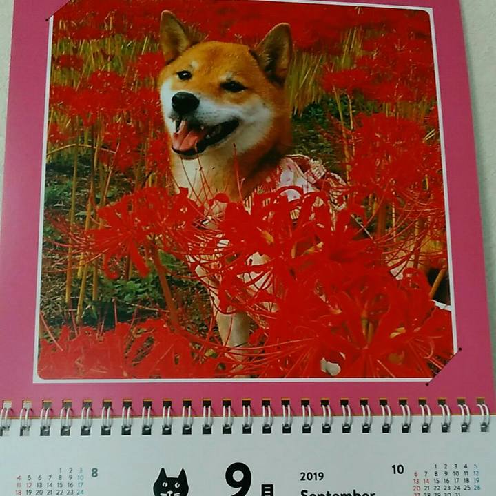 1e532e77 e070 47e1 abb9 eaf4a4645bbb 1567299397762