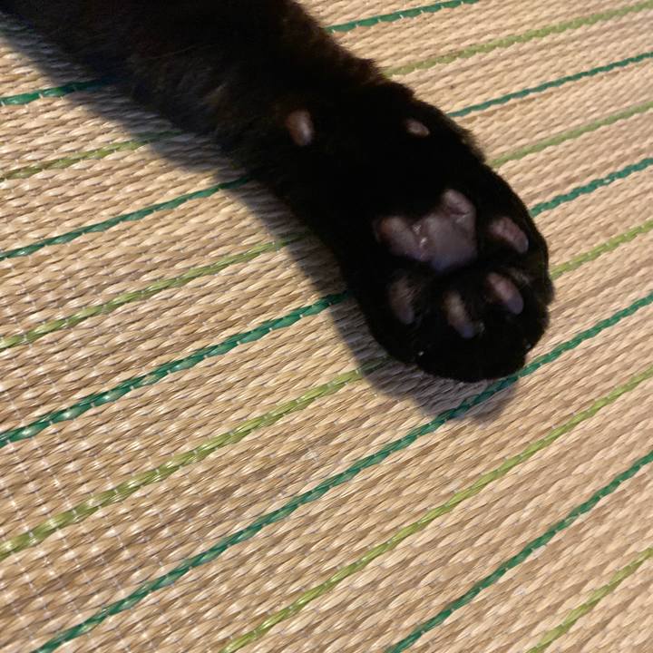 1e538fec 4439 42b2 b461 00ac484b554a 1624842689296