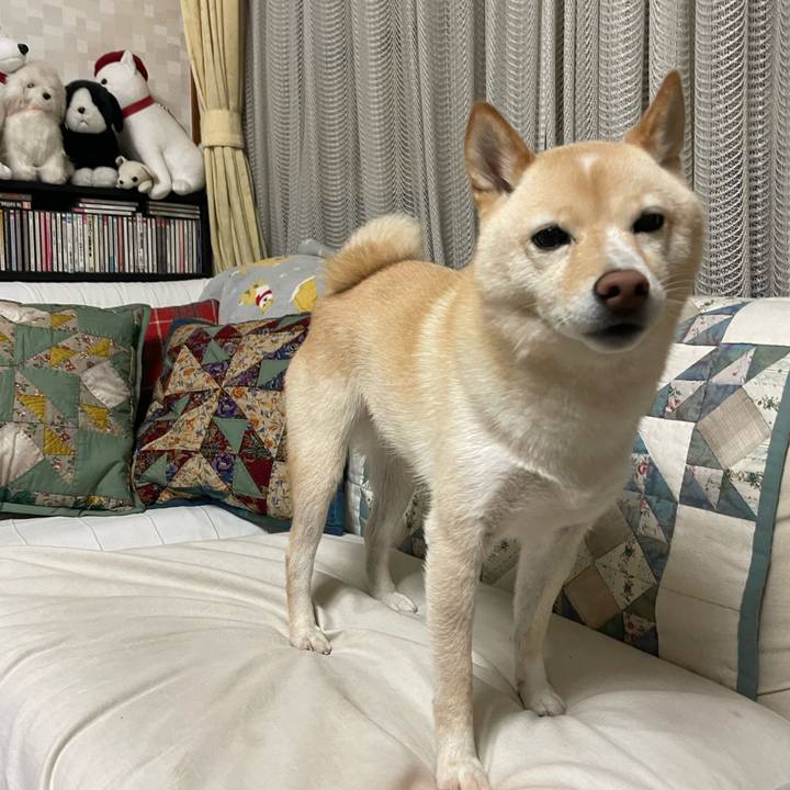 1e53984c c3bd 429a 8297 f3dc1ef3f805 1666261563657