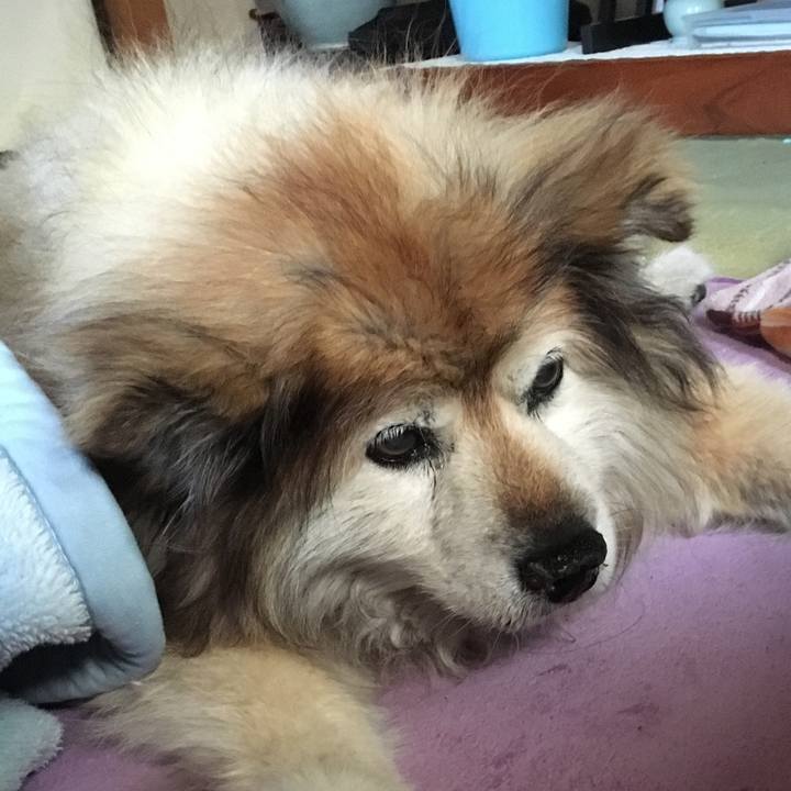 1e53f341 59a5 41e6 ae1c f5b1563f9b34 1599472670220