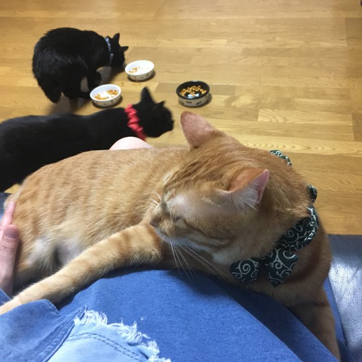 1e53f42d 1742 4cdd 8e78 f55b1a52c3f2 1536753981572