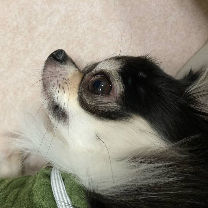 1e53f737 ee71 4e80 a292 56a1bb5a2e97 1638022243956