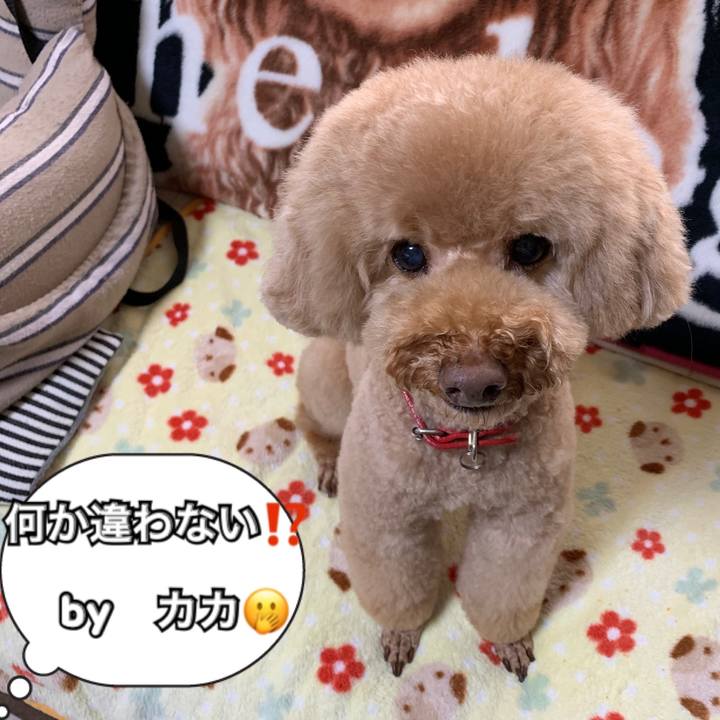 1e53fb28 92c5 4031 900a fd00eec391bb 1543213825657