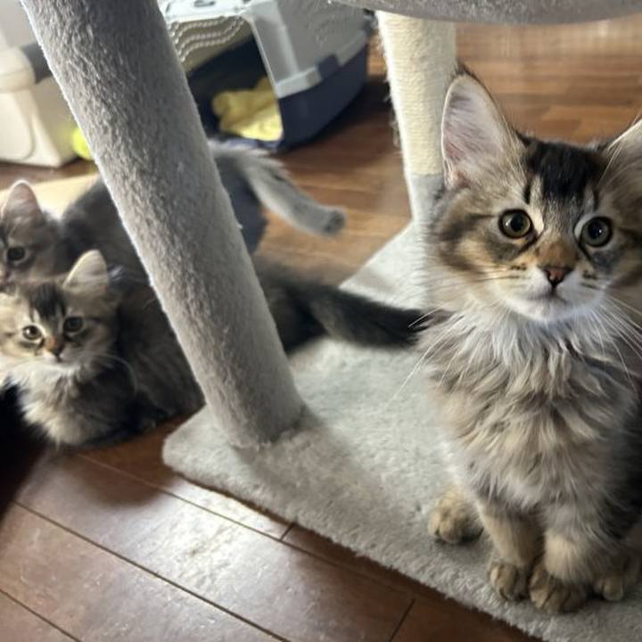 1e53fd12 3d1c 49fc 8c3c 780a8bec3203 1766012242122