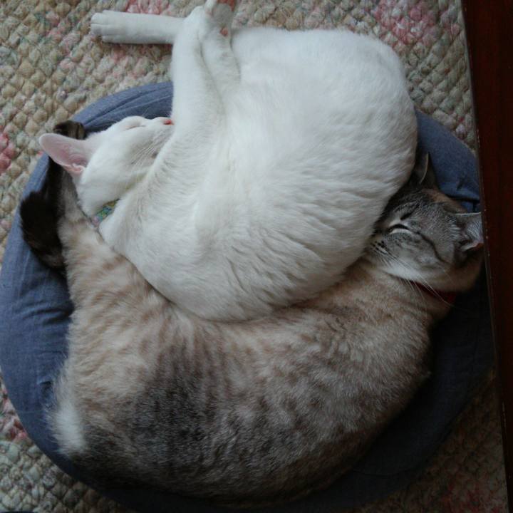 1e543cda a120 4eb2 ad93 d181598ee630 1521793933174