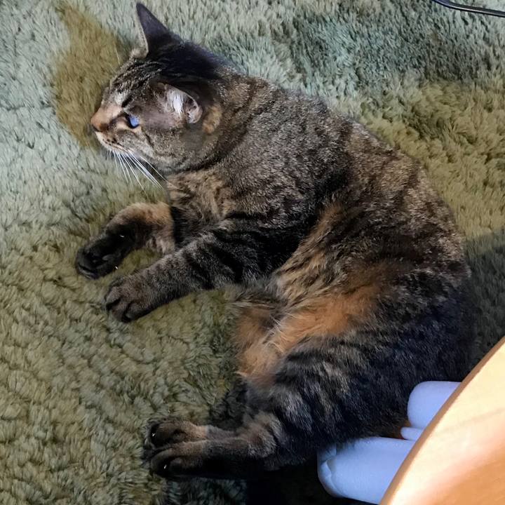 1e544083 ed11 45e5 959f 80388e85c30f 1580126562899