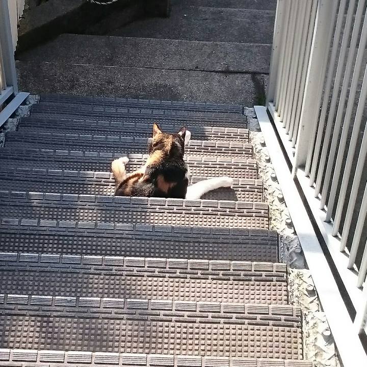 1e547402 ac04 433d 9acf 1505b44f3950 1525989937618