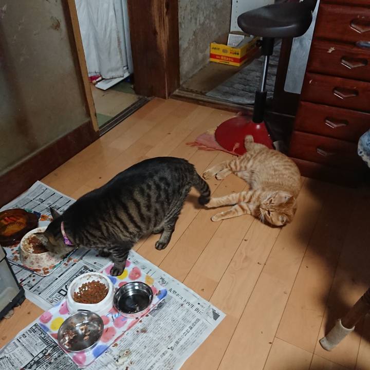 1e548c92 e44e 43dd 8005 6704b250113f 1651147553765