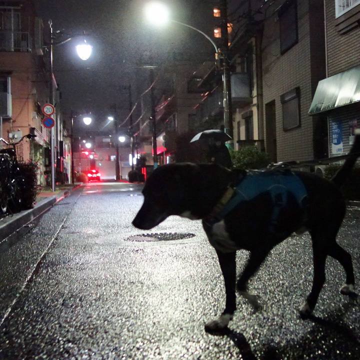 1e54bf73 39e6 4447 8962 981991f8d7d1 1744541161580