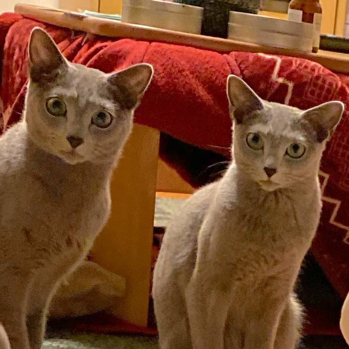 1e54d605 b3b9 4f1f 85a8 d2bceb819502 1641337191269