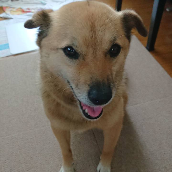 1e54dfee de92 472f 8a6b ca5b605ceb6f 1627466982497