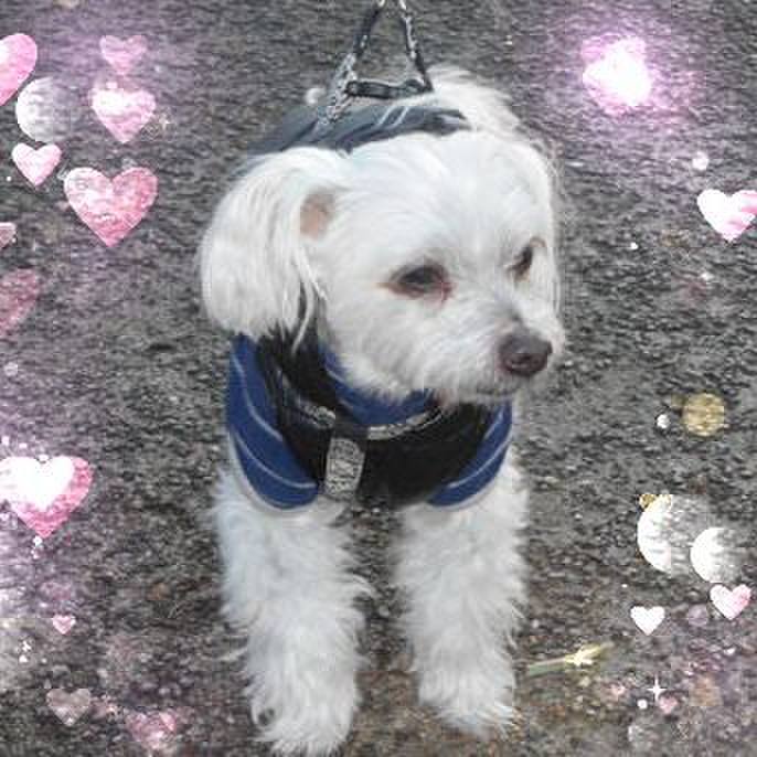 1e54e2ee 7ab0 4e6d 8d82 00ca1570cbc8 1548735986072