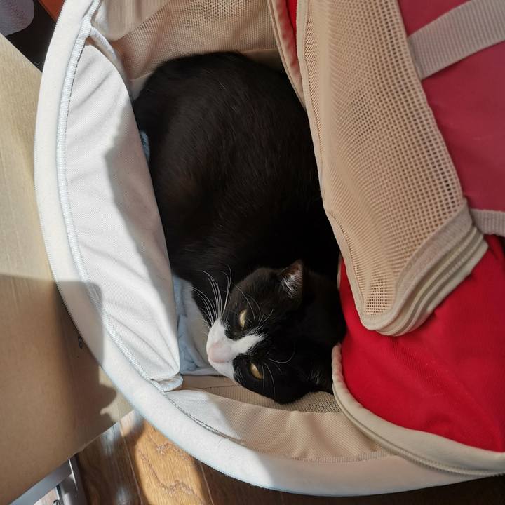 1e550ff9 b1c5 4be1 ac33 ffe21dd5f760 1682915125815