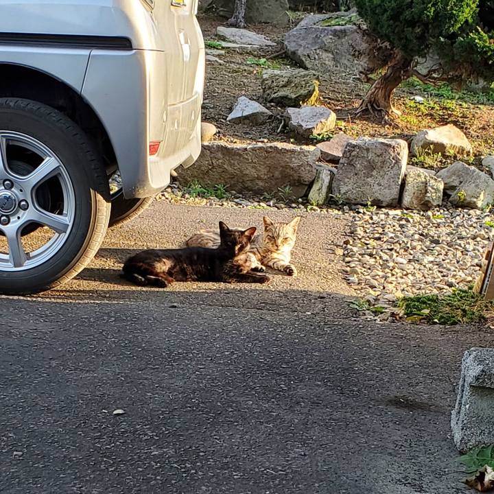 1e551fde aacd 4fc3 8e16 3c34819e2ea9 1696416991910