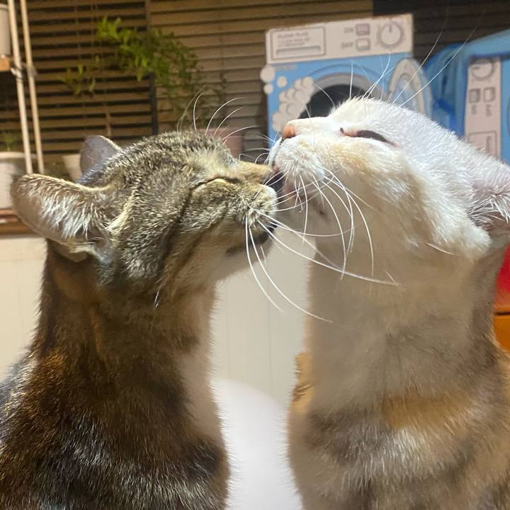 1e552457 6531 4208 a5ed 495707be58fe 1764515390957