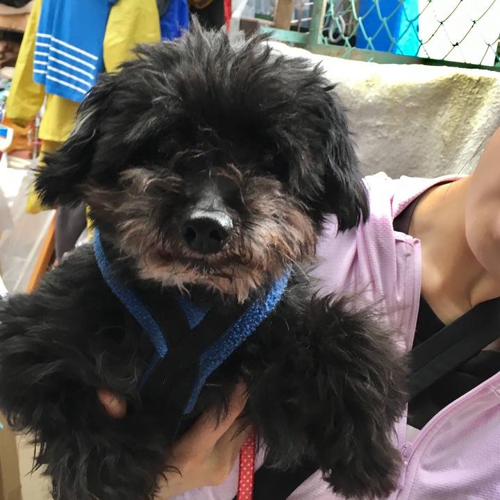 1e552ef1 232a 4e9c b852 304a4e8c01bc 1557911418343