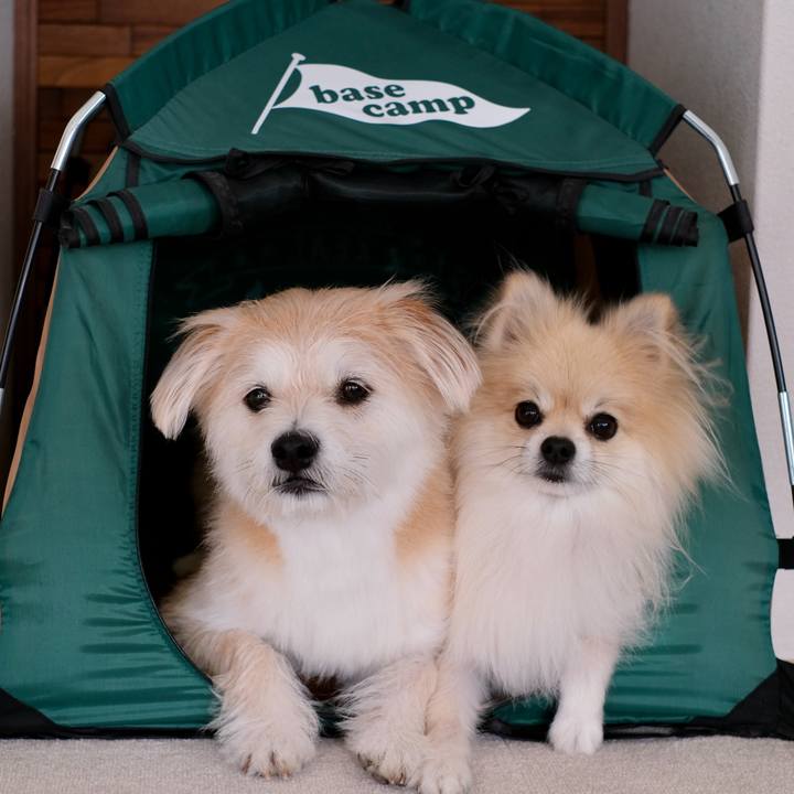 1e553558 81a9 4d74 a2e9 af44caf0731f 1758145740381