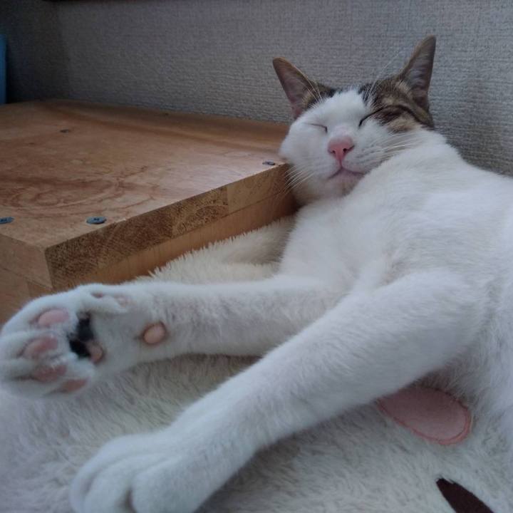 1e553662 717e 4b26 8517 09aa98ab6c97 1661056203560