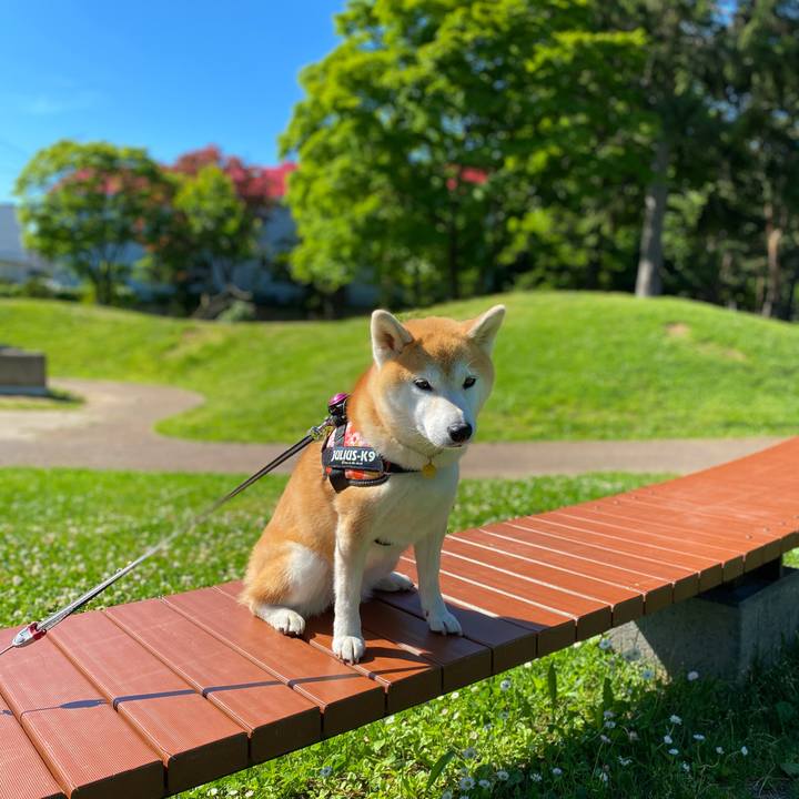 1e556124 937d 43d2 acae f8ca7affc24b 1624411289500