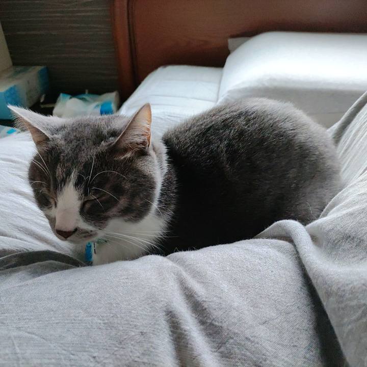 1e556db8 0ad6 4d3a b7d3 9b3bec3e670d 1668471875457