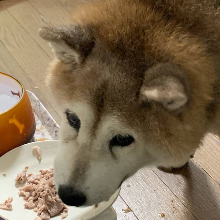 1e556f70 9f0f 4f78 9bdb 6a0e8319b7d0 1637587071990