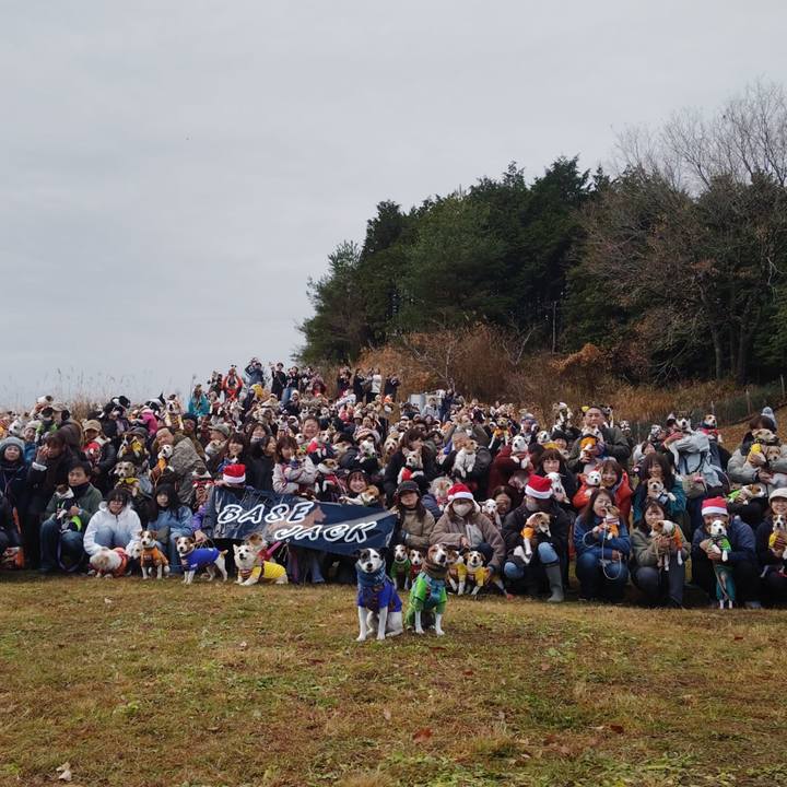 1e5599dd c55d 41f0 af1b 895d9266d769 1765726037807